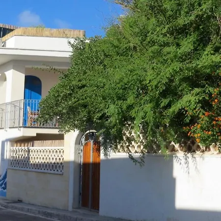 Bruno 3* מארוג'ו